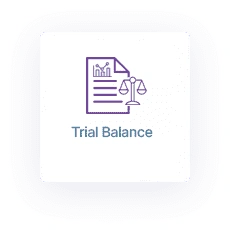 Double Entry Accounting System