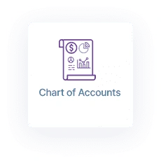 Double Entry Accounting Software