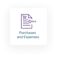 Financial Reporting Software Purchase and Expense