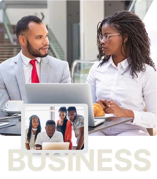 Large business accounting software