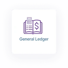 Multicurrency Accounting Software General Ledger