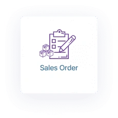 Multicurrency Accounting Software Sales Order